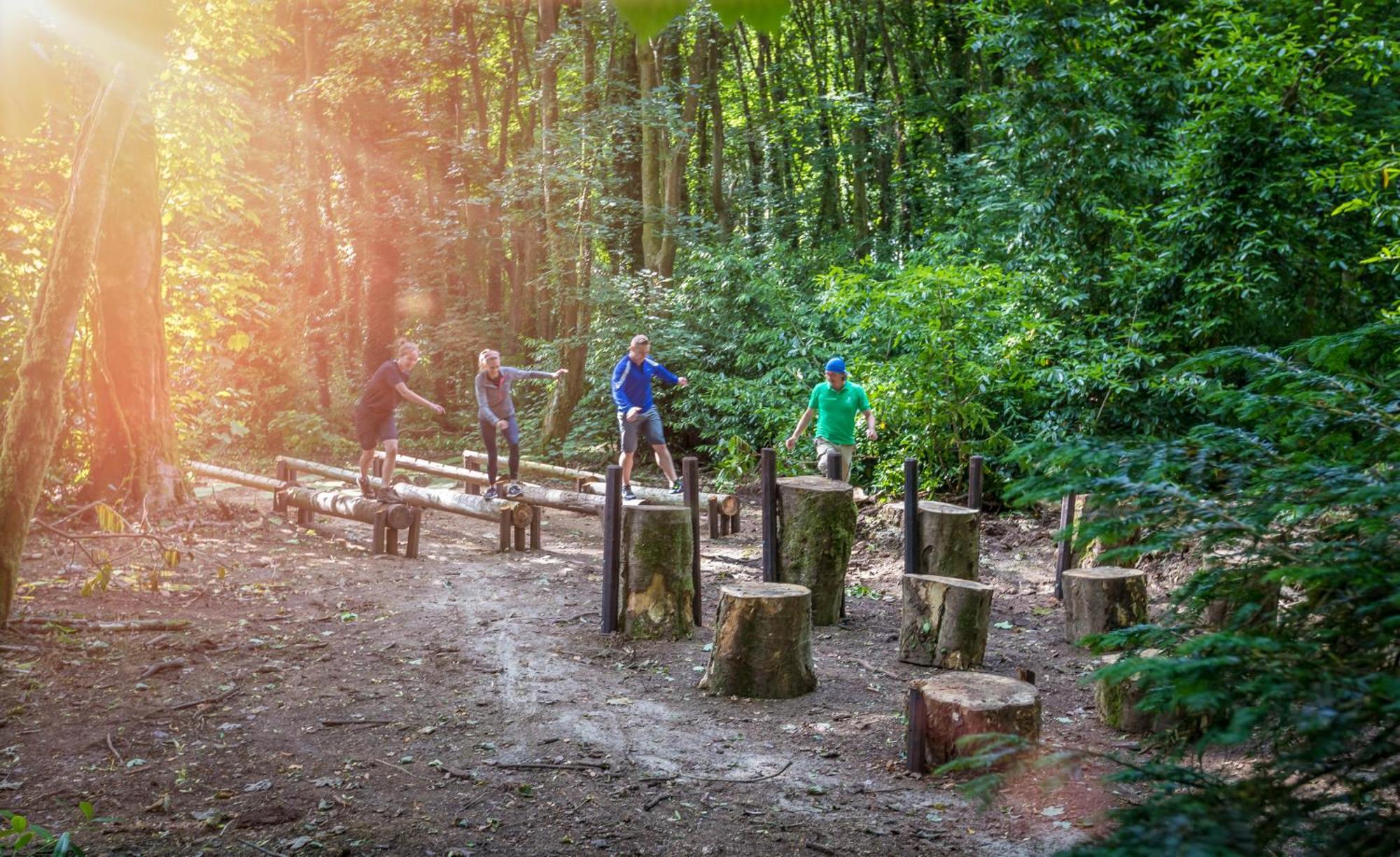 Fota Island Hotel And Spa Экстерьер фото The Log Bridge